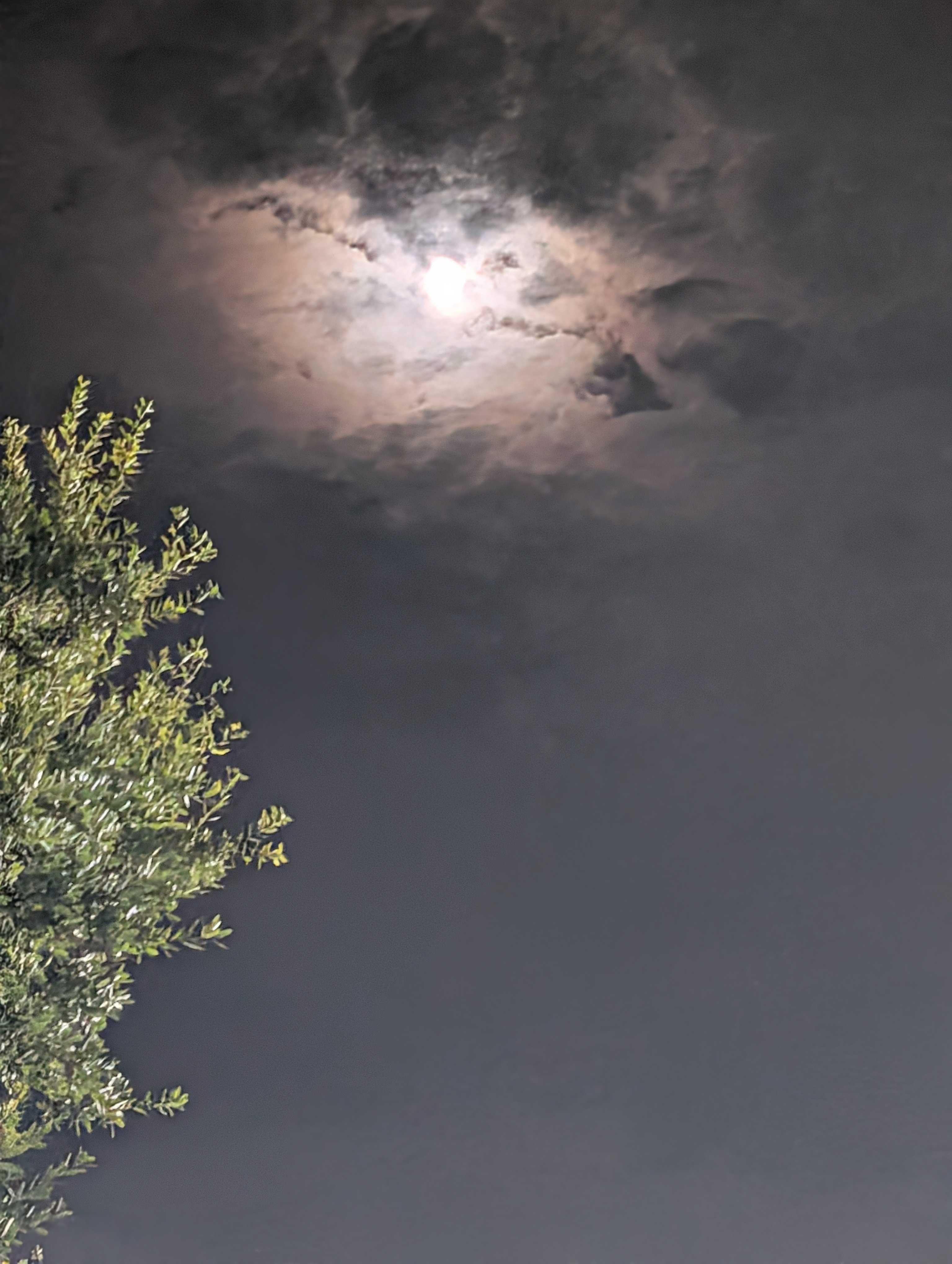 The Moon over Port St. Lucie, United States — waxing gibbous, Lunar Day 11