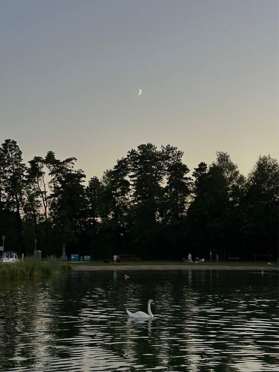 The Moon over Le Landeron, Switzerland — first quarter, Lunar Day 7