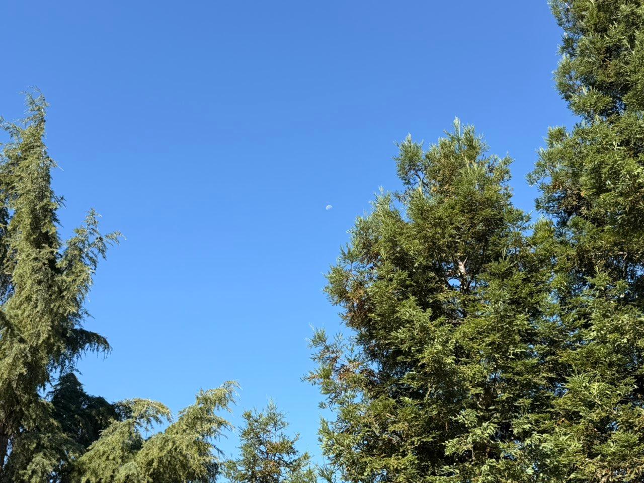 The Moon over Lodi, United States — last quarter, Lunar Day 22
