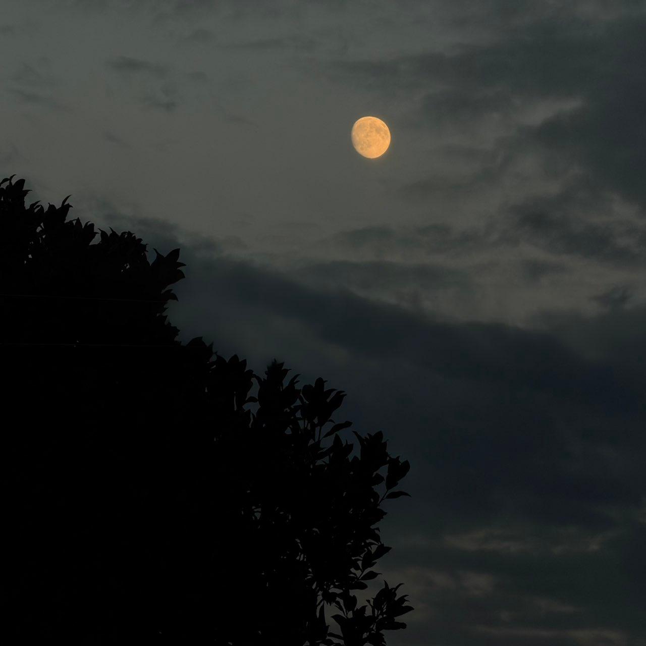 The Moon over Udine, Italia — waxing gibbous, Lunar Day 14