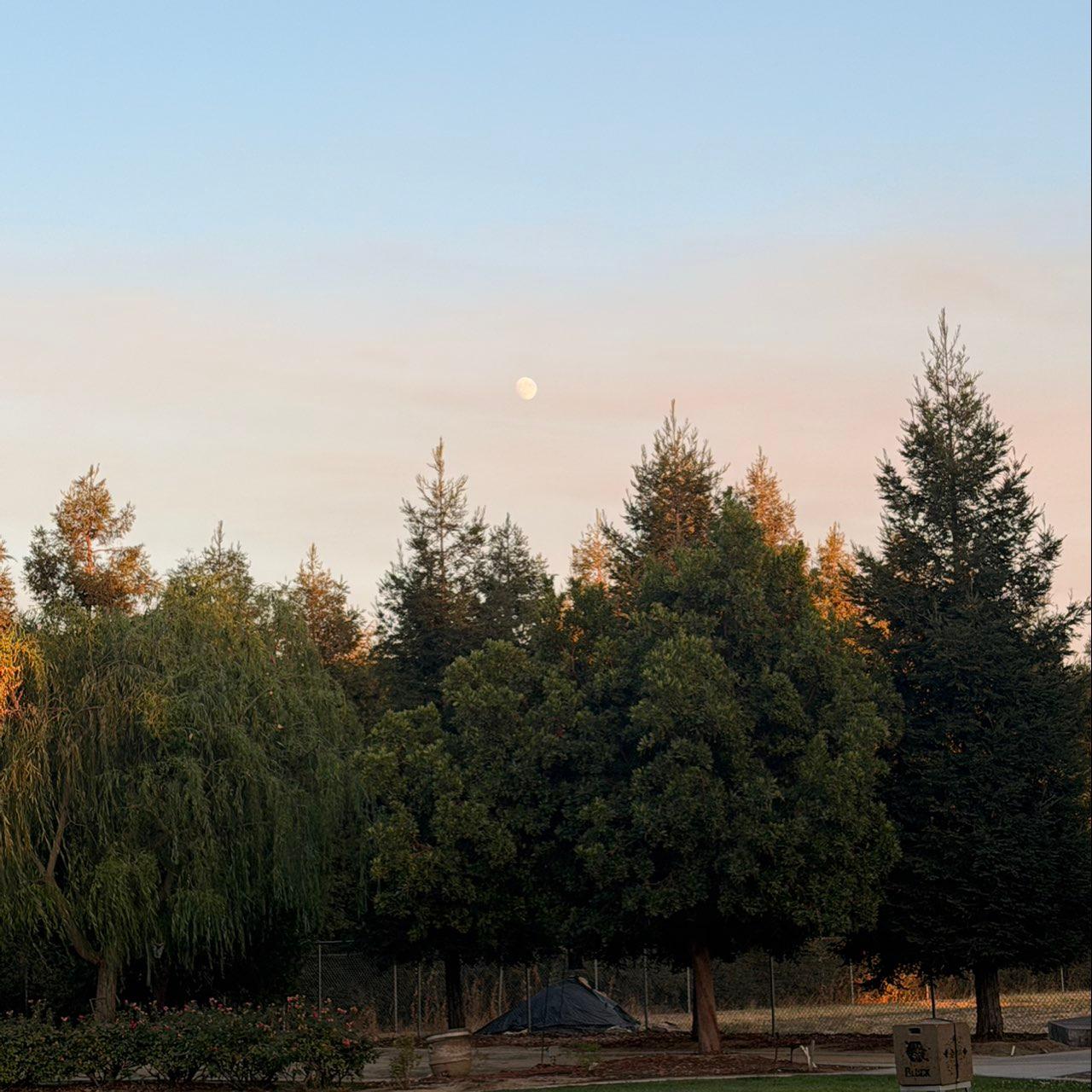 The Moon over Lodi, United States — waxing gibbous, Lunar Day 13