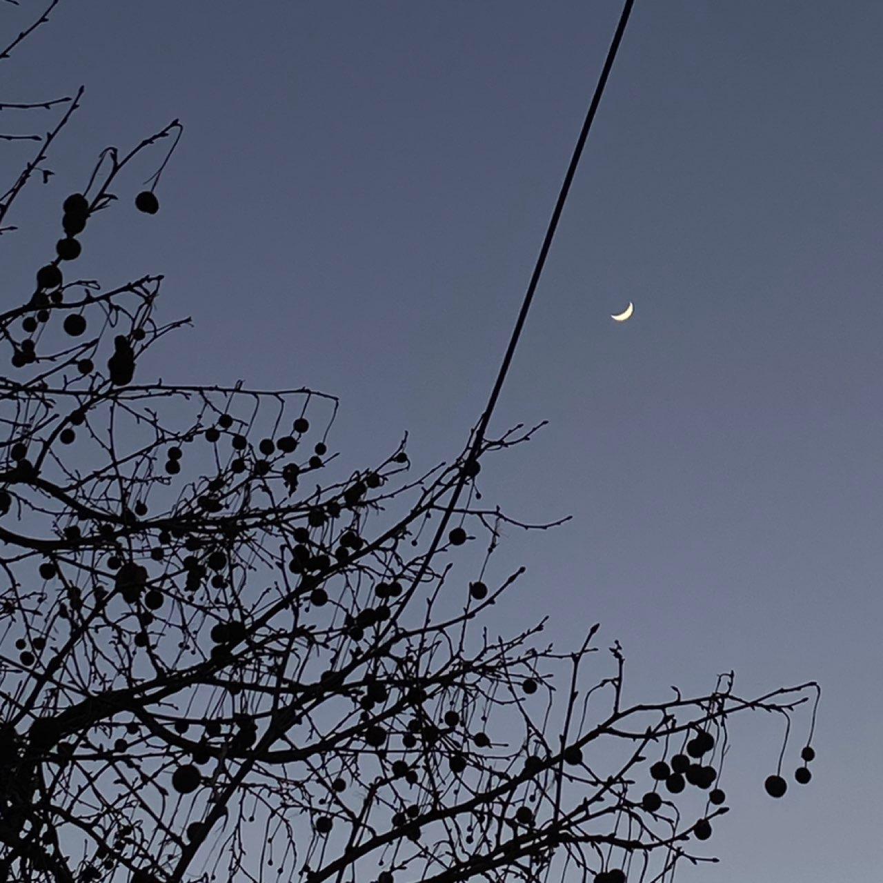 The Moon over Tbilisi, Georgia — waxing crescent, Lunar Day 5