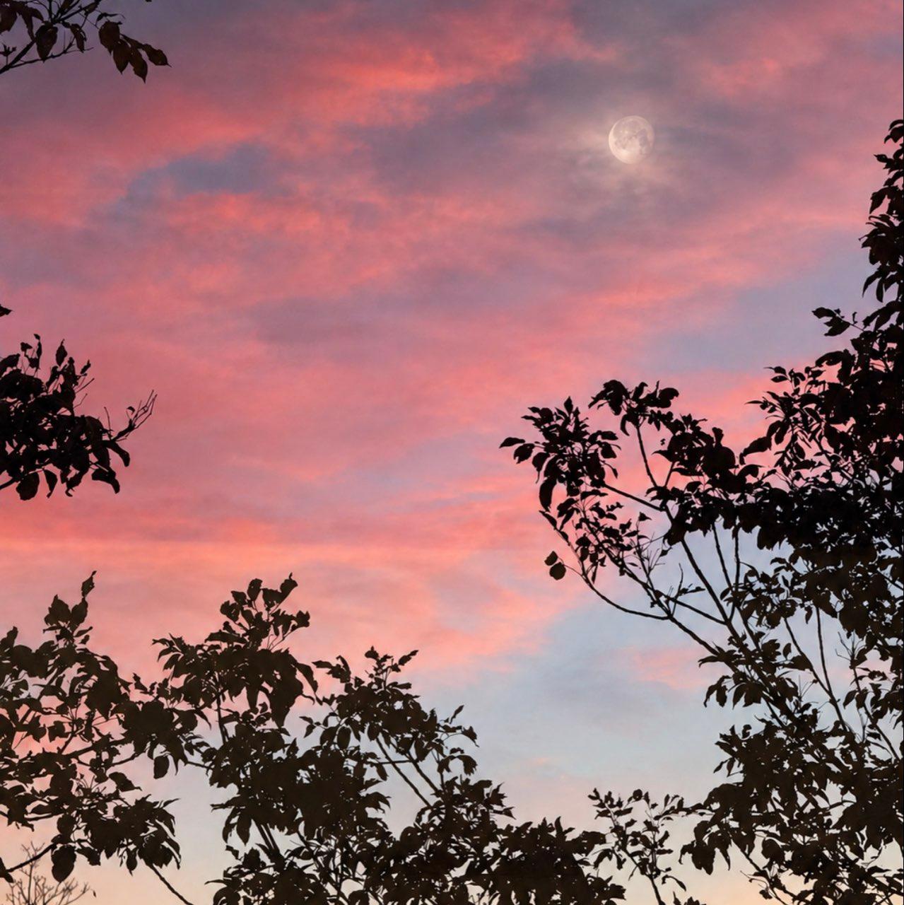 The Moon over Colorado Springs, United States — waning gibbous, Lunar Day 18