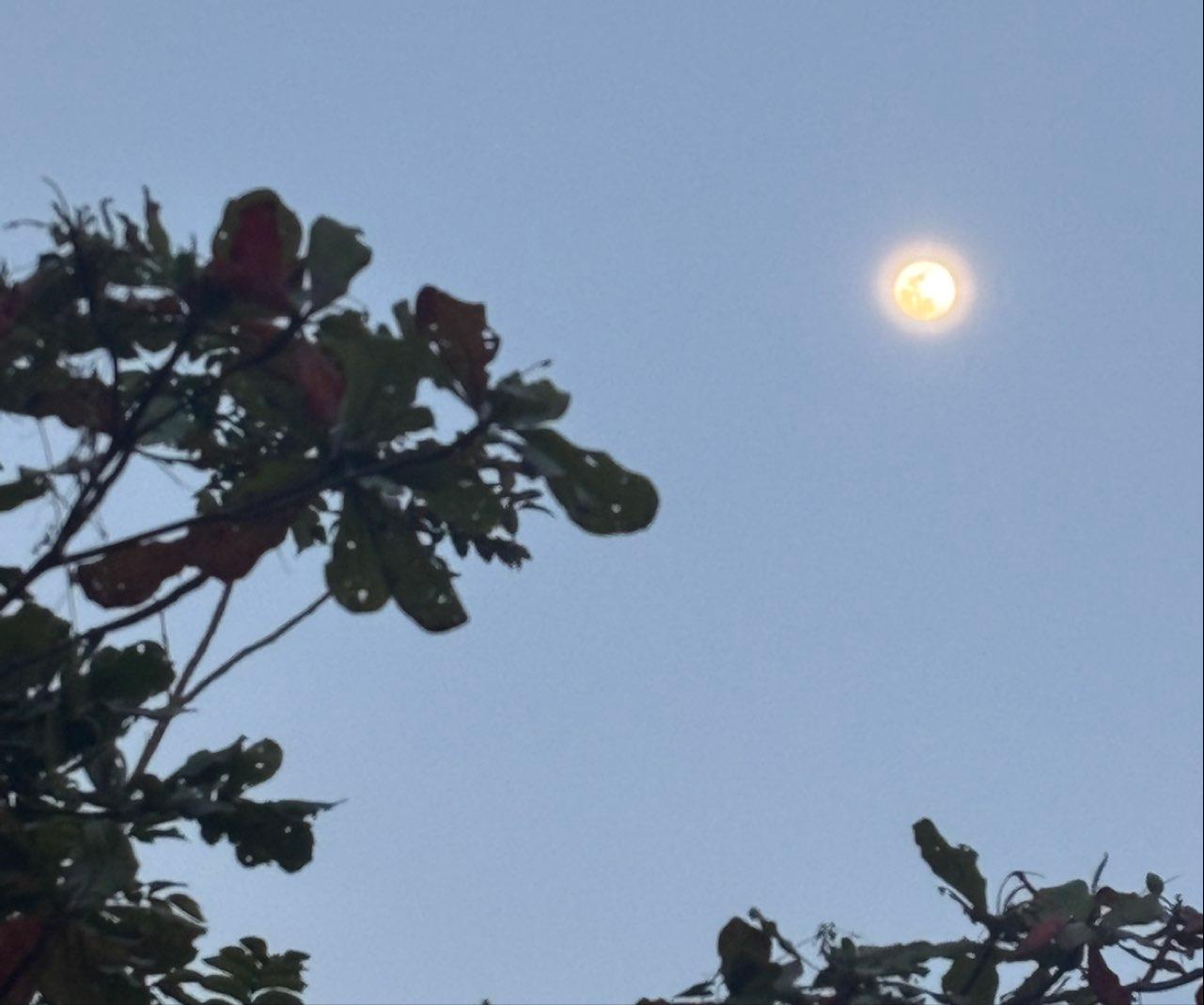 The Moon over Barranquitas, Estados Unidos — full moon, Lunar Day 14