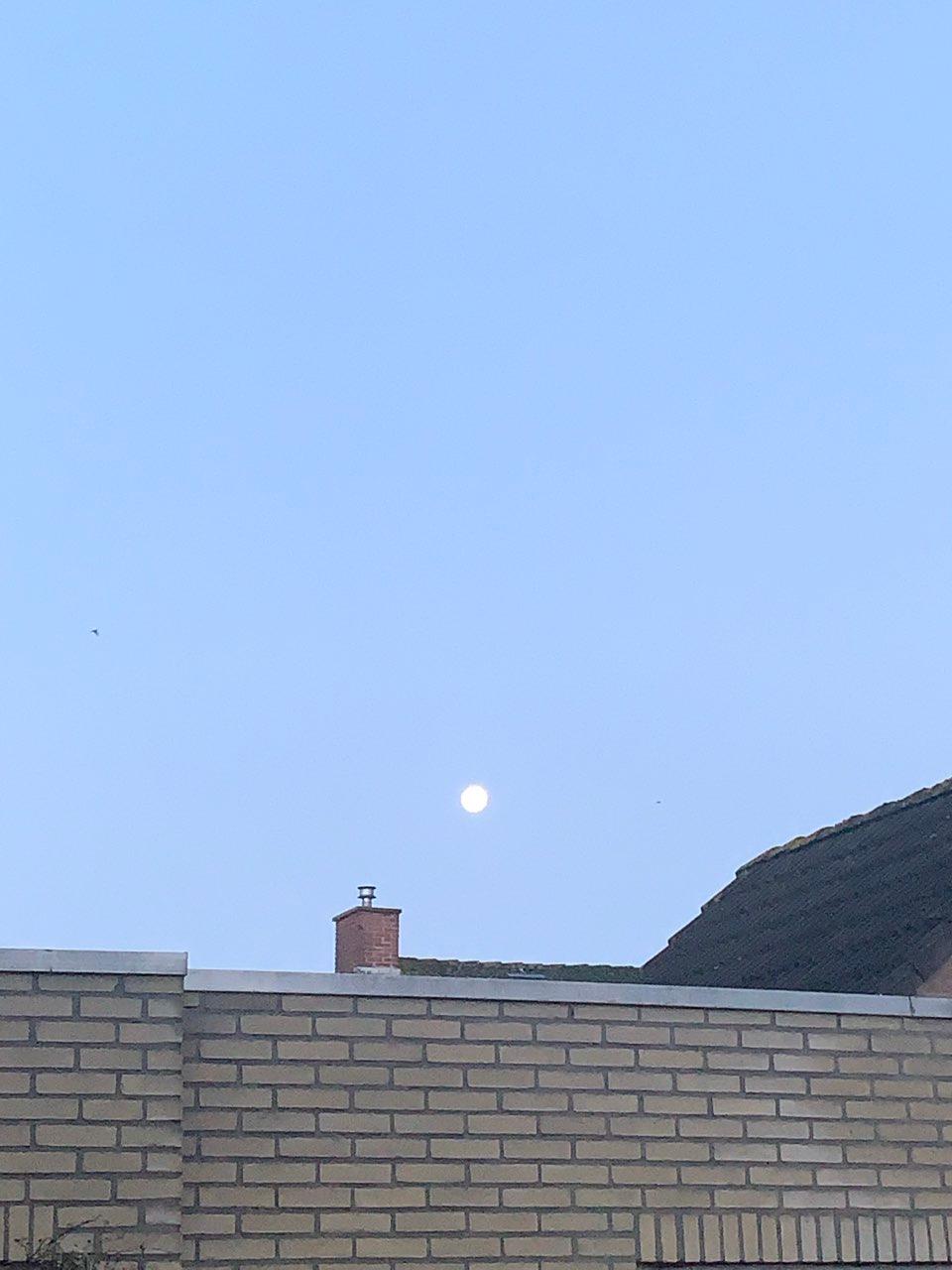 The Moon over Dongen, Nederland — full moon, Lunar Day 16