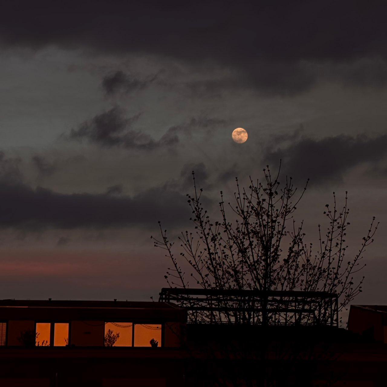 The Moon over Köln, Deutschland — full moon, Lunar Day 14