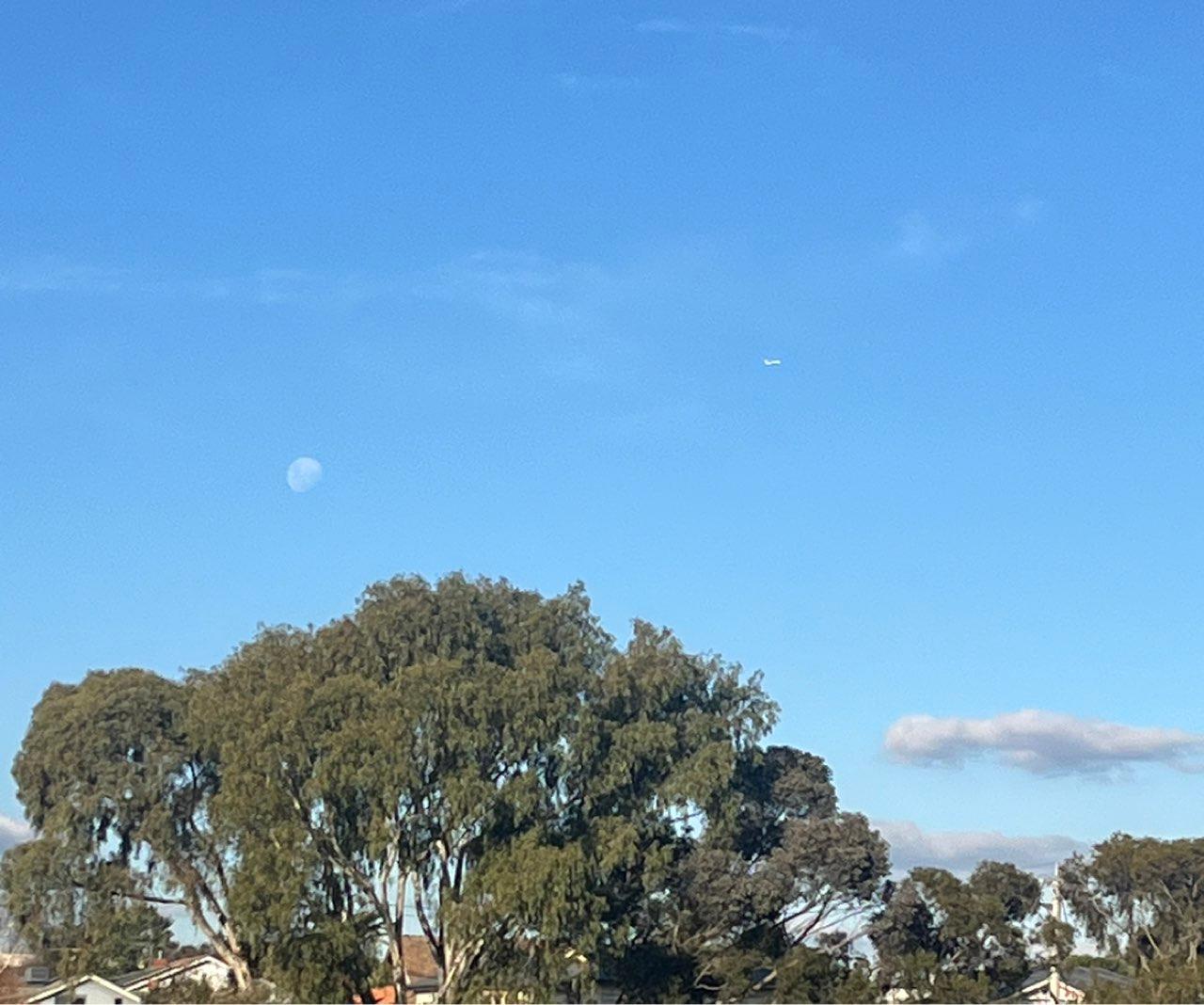 The Moon over Coburg, Australia — waxing gibbous, Lunar Day 14