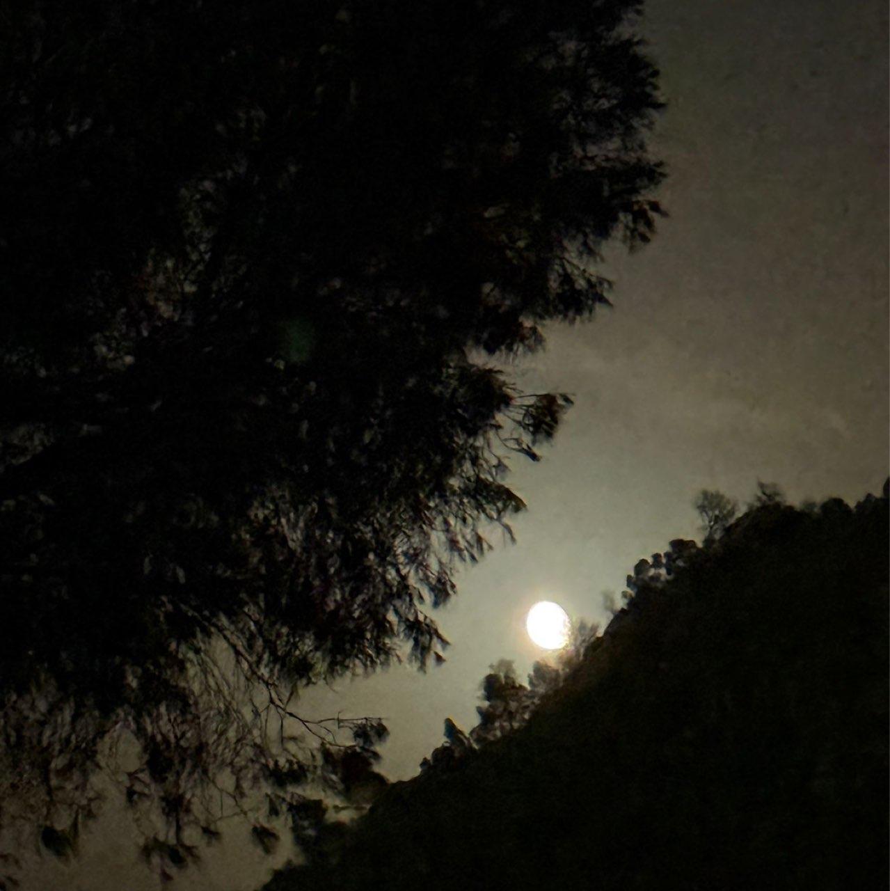 The Moon over Murcia, España — waning gibbous, Lunar Day 20