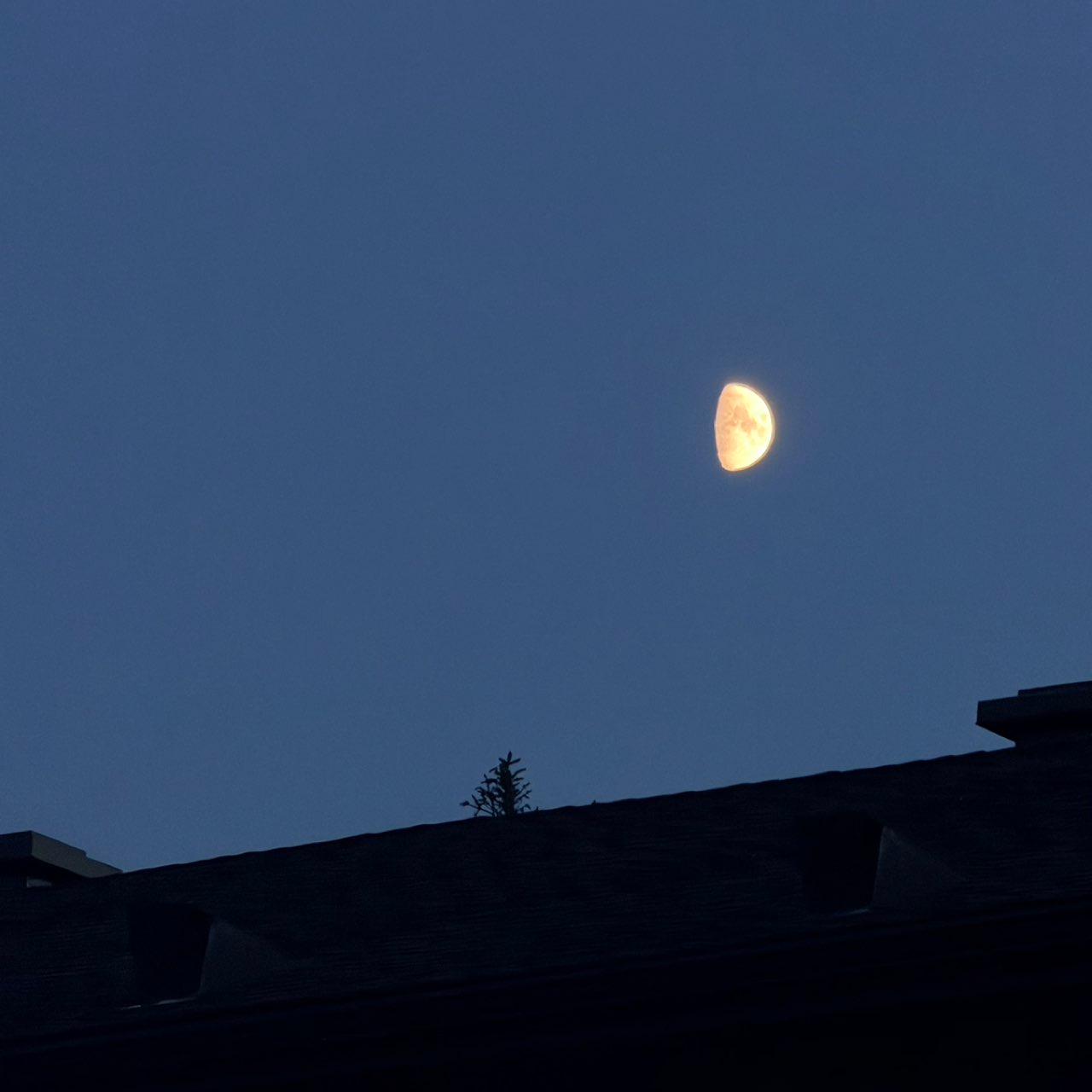 The Moon over Toronto, Canada — first quarter, Lunar Day 10