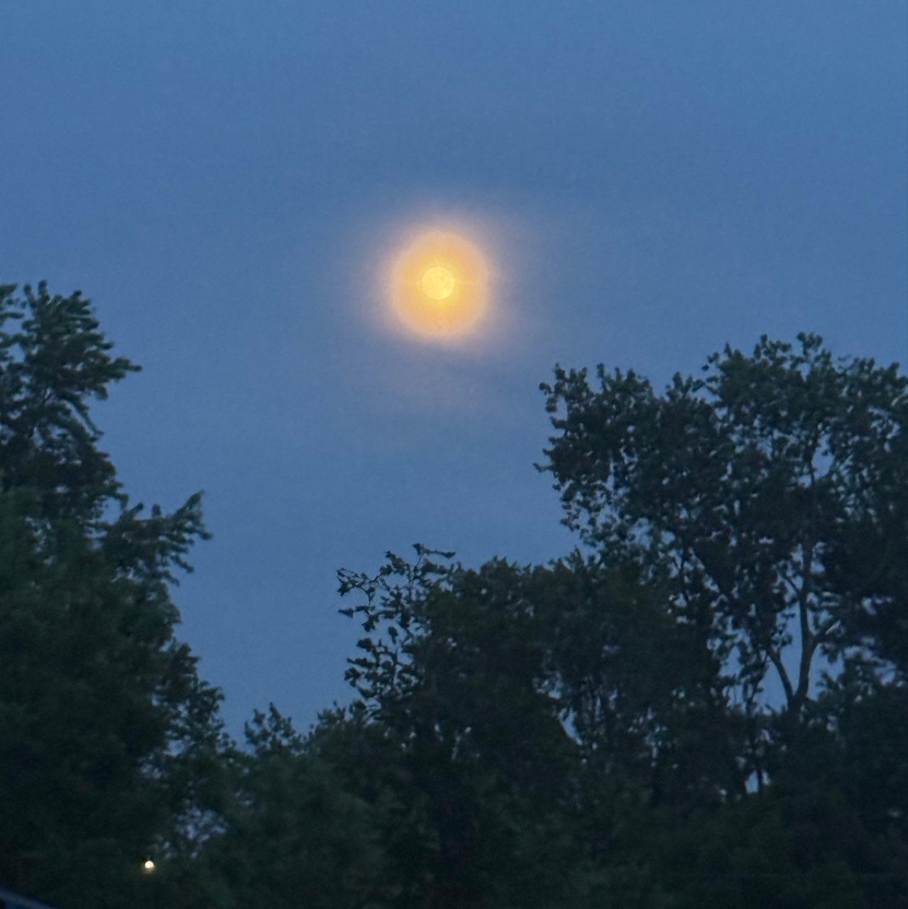 The Moon over Lizton, United States — full moon, Lunar Day 14