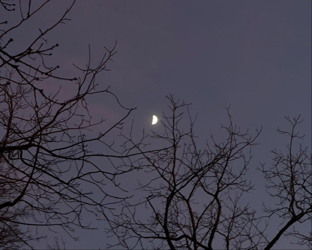 The Moon over Köln, Deutschland — first quarter, Lunar Day 9