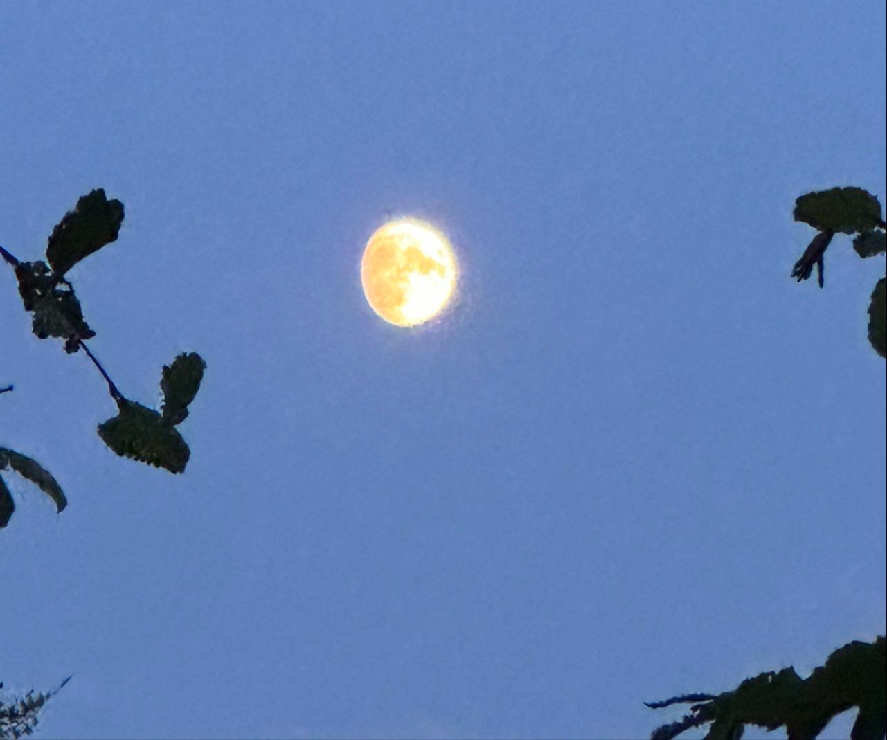 The Moon over Halstenbek, Deutschland — waxing gibbous, Lunar Day 13