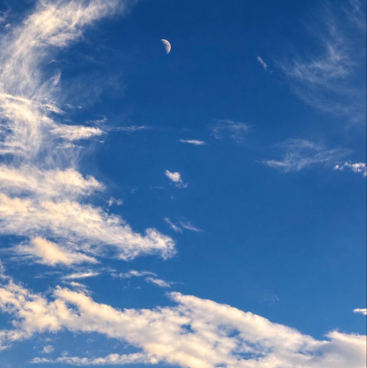 The Moon over Colorado Springs, United States — first quarter, Lunar Day 8