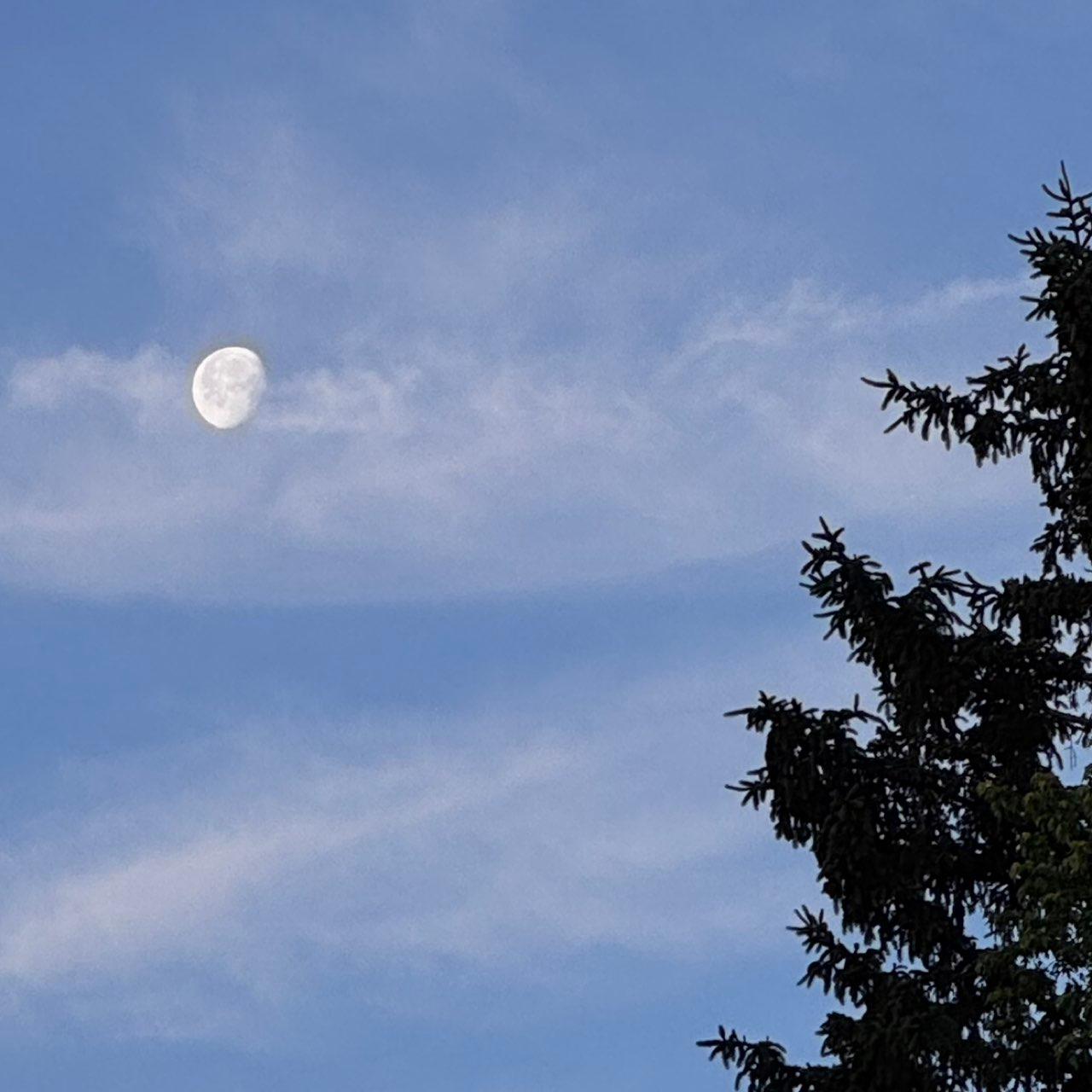 The Moon over Chagrin Falls, United States — waning gibbous, Lunar Day 19