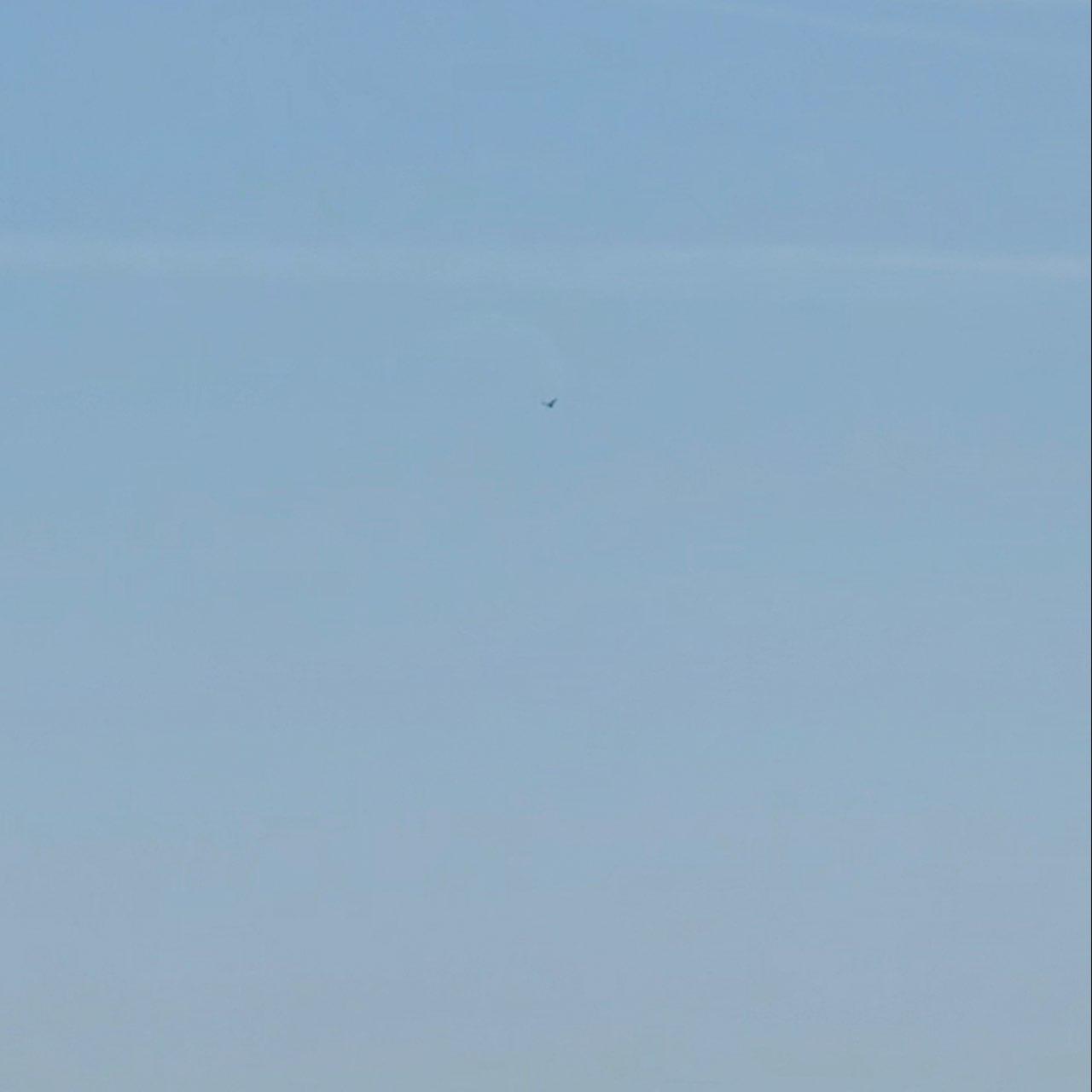The Moon over Lodi, United States — first quarter, Lunar Day 7