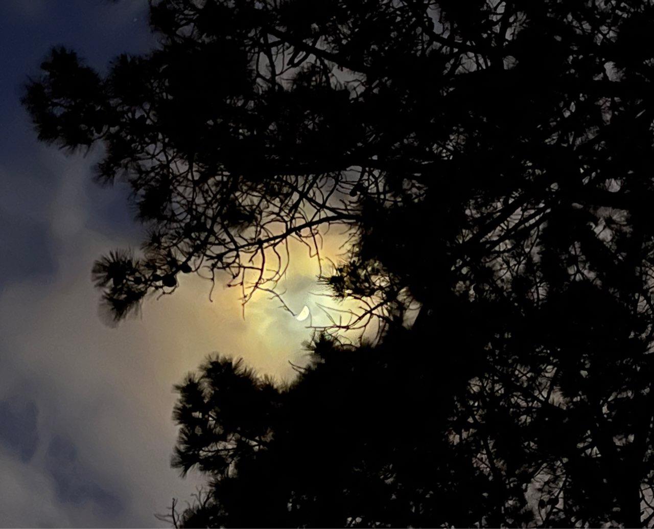 The Moon over Suresnes, France — first quarter, Lunar Day 8
