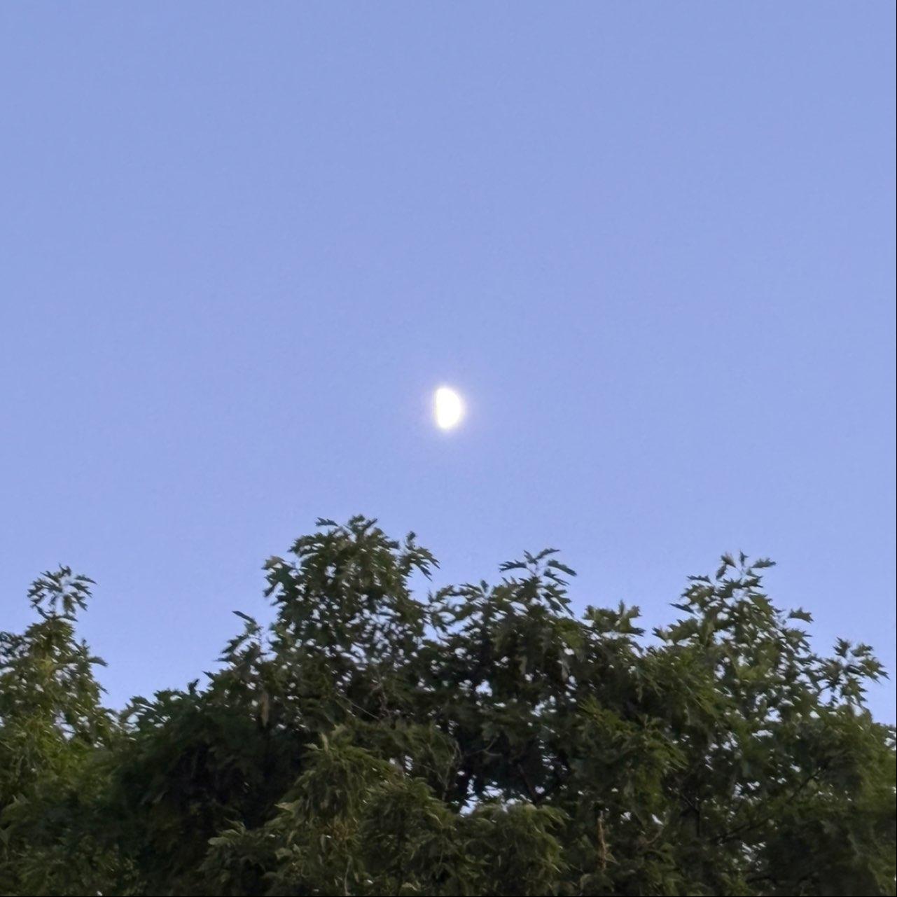 The Moon over Denver, United States — first quarter, Lunar Day 9