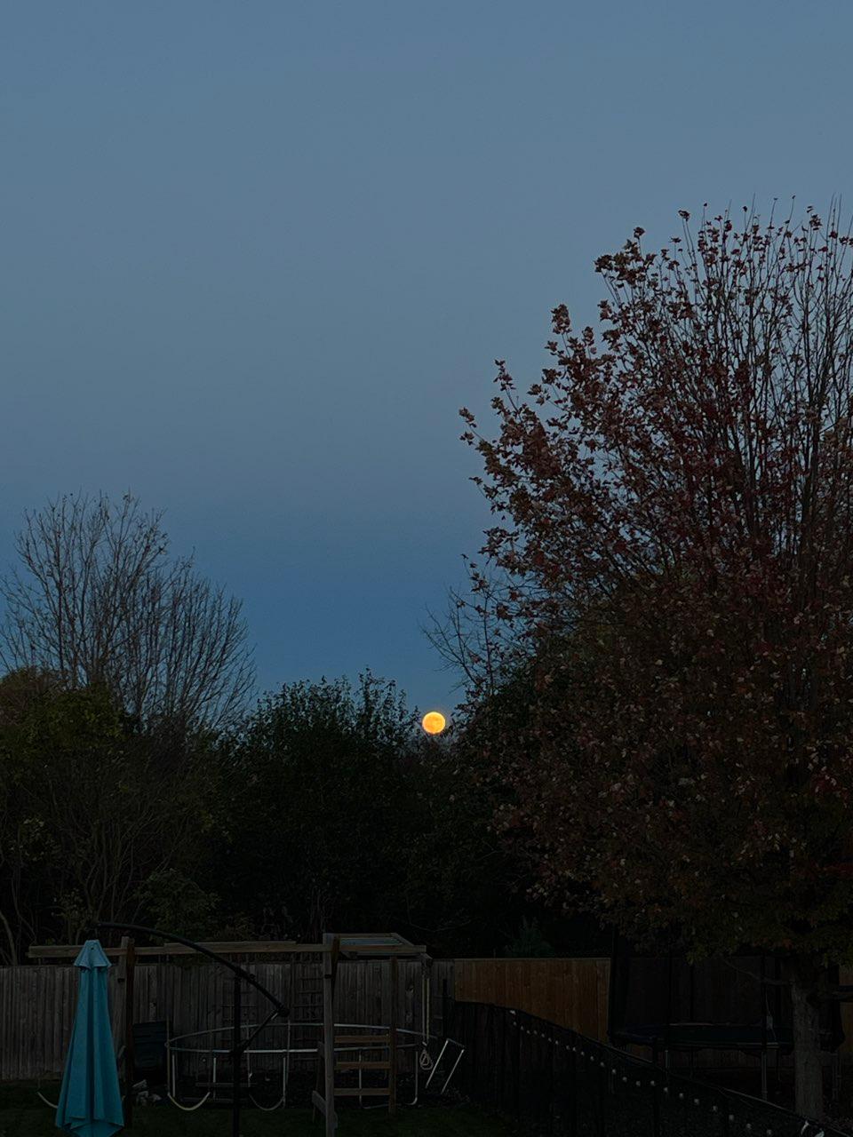 The Moon over Loyalist, Canada — full moon, Lunar Day 15