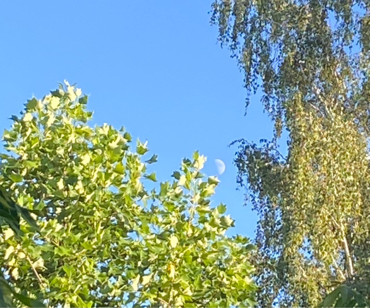 The Moon over Berlin, Deutschland — first quarter, Lunar Day 10