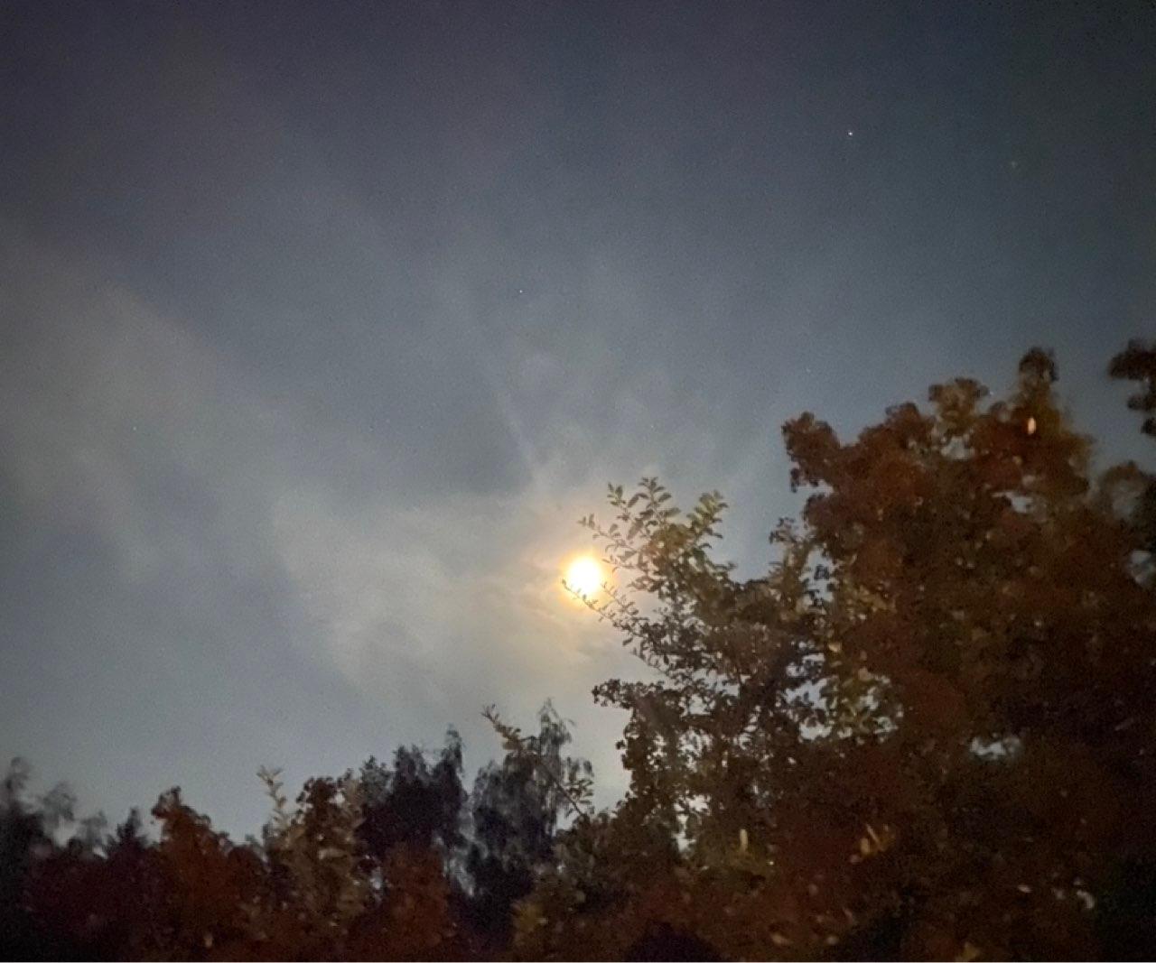 The Moon over Prague 3, Czechia — waning gibbous, Lunar Day 21