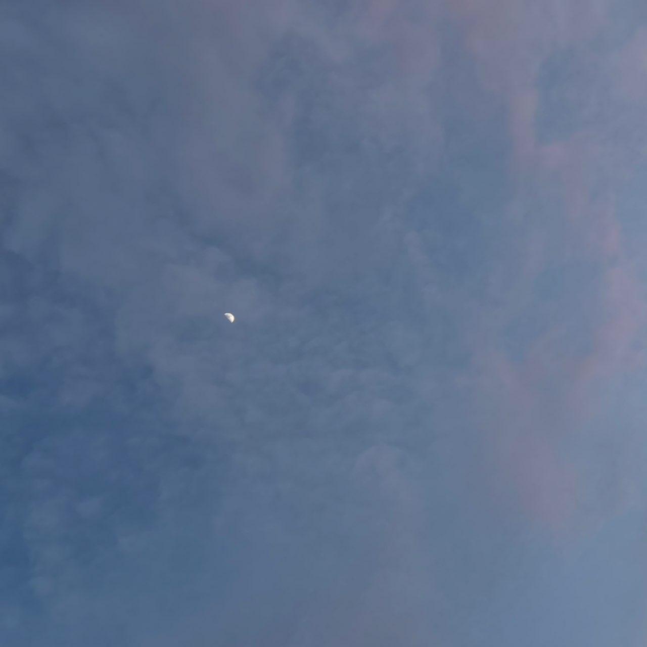 The Moon over Batumi, Georgia — first quarter, Lunar Day 8