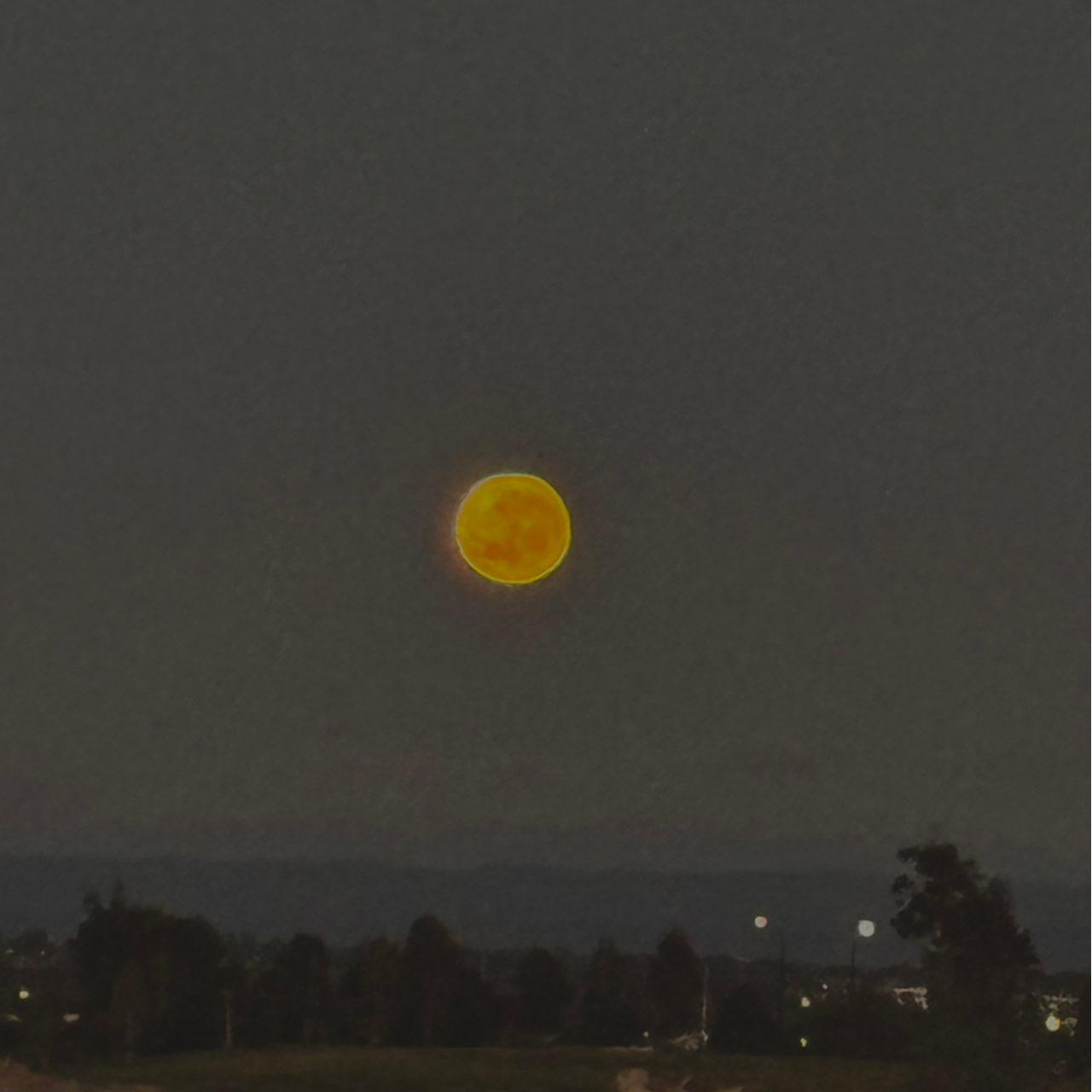 The Moon over Camperdown, Australia — full moon, Lunar Day 15