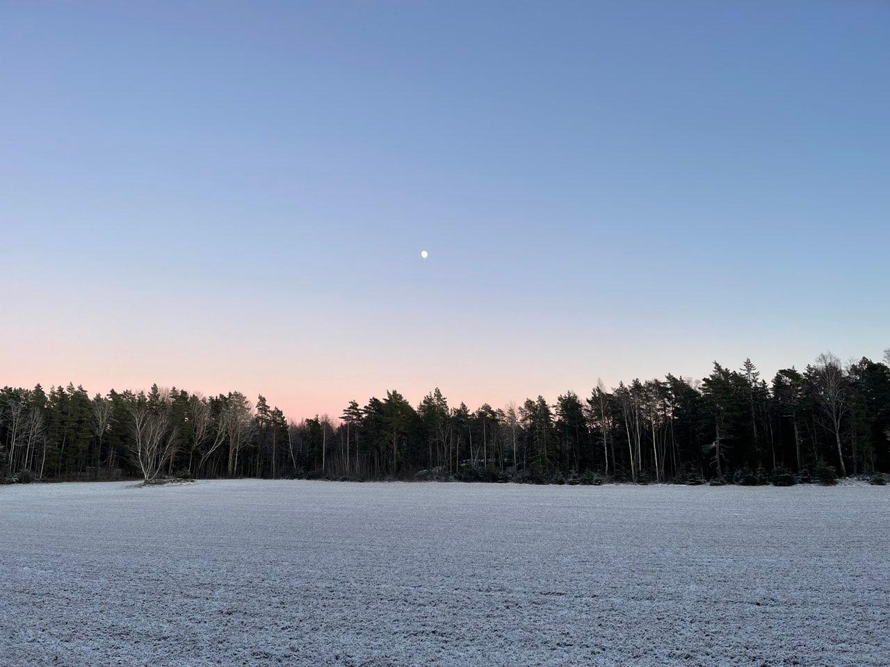 The Moon over Ekerö, Sverige — waxing gibbous, Lunar Day 12