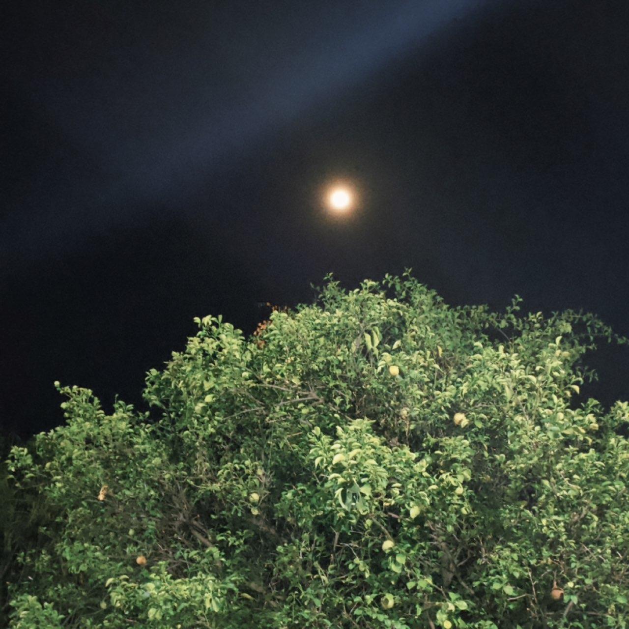 The Moon over Valledupar, Colombia — full moon, Lunar Day 15