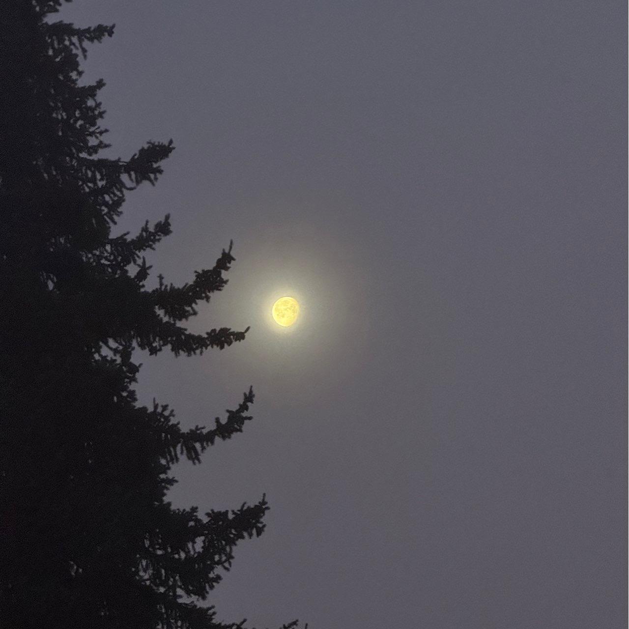 The Moon over Kilchberg ZH, Schweiz — waning gibbous, Lunar Day 18