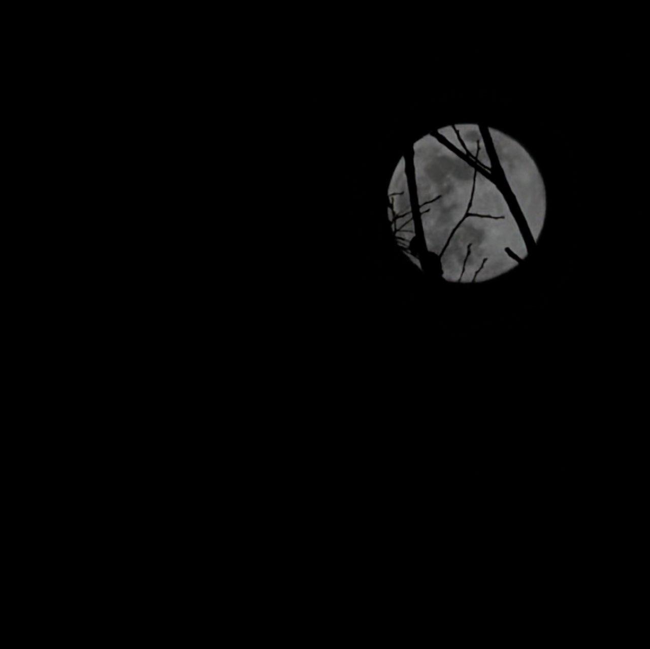 The Moon over Farmers Branch, Estados Unidos — full moon, Lunar Day 15