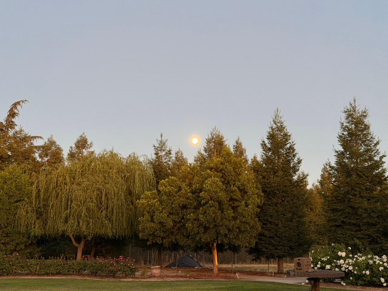 The Moon over Lodi, United States — full moon, Lunar Day 15