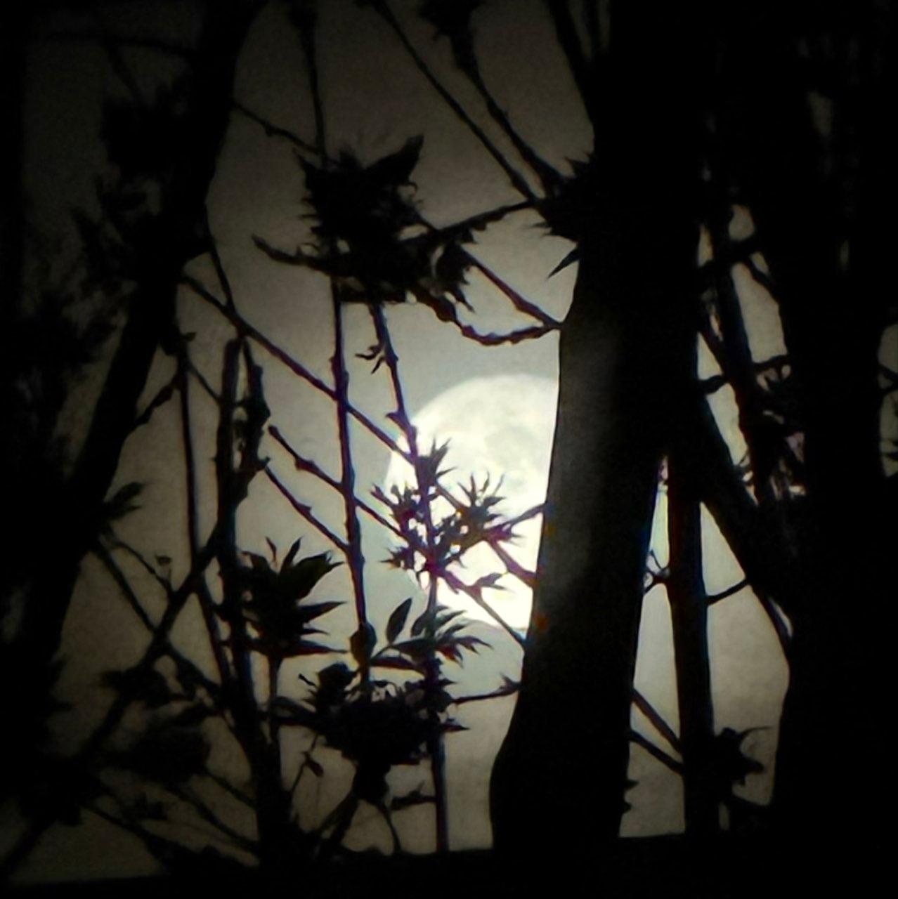 The Moon over Vilgertshofen, Germany — full moon, Lunar Day 16