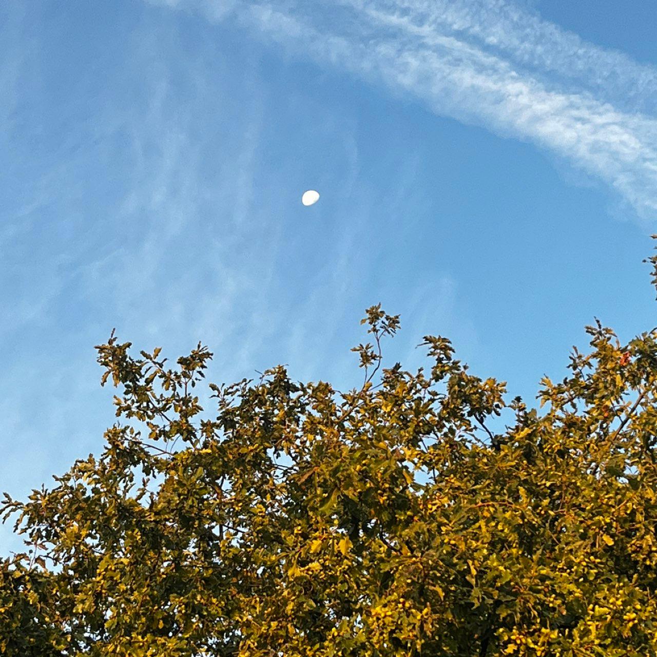 The Moon over Wittlich, Deutschland — waning gibbous, Lunar Day 20