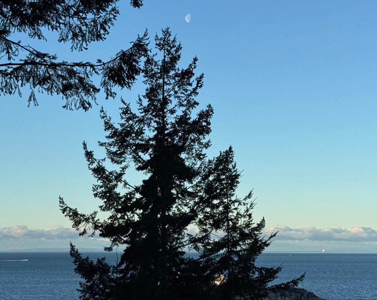 The Moon over Sunshine Coast, Canada — waning gibbous, Lunar Day 20