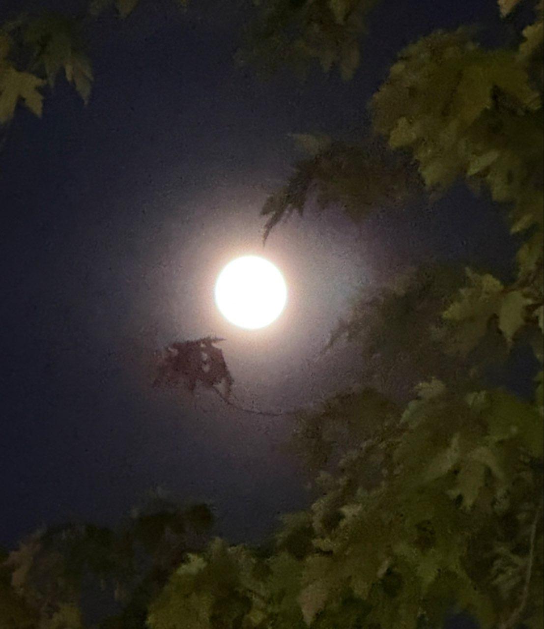 The Moon over Boston, United States — waning gibbous, Lunar Day 19