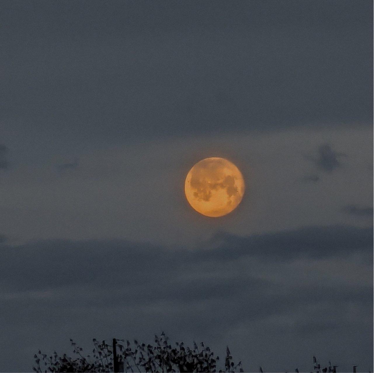 The Moon over Hannover, Deutschland — full moon, Lunar Day 15