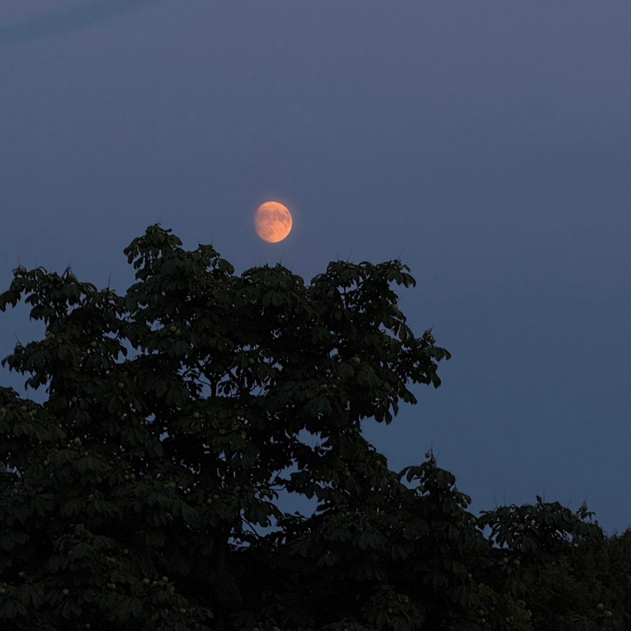 The Moon over Nürnberg, Deutschland — waxing gibbous, Lunar Day 14