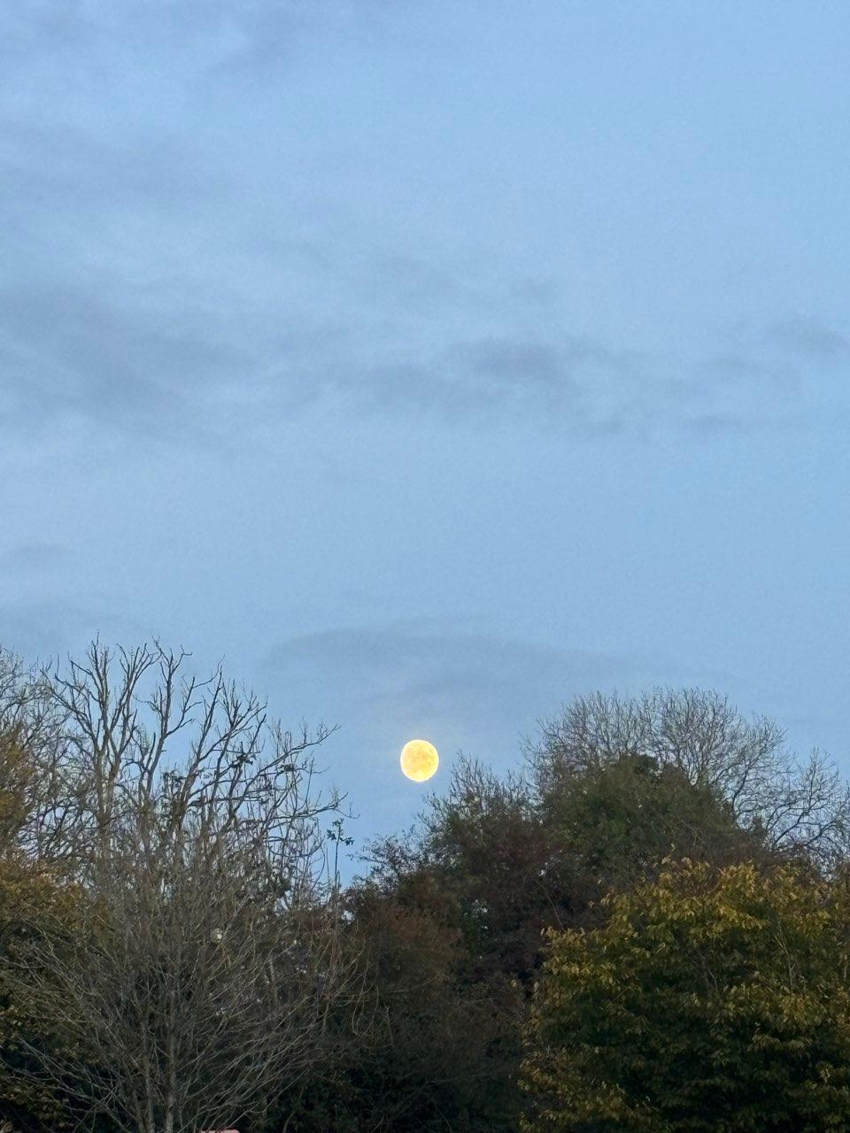 The Moon over Tulla, Ireland — waxing gibbous, Lunar Day 13