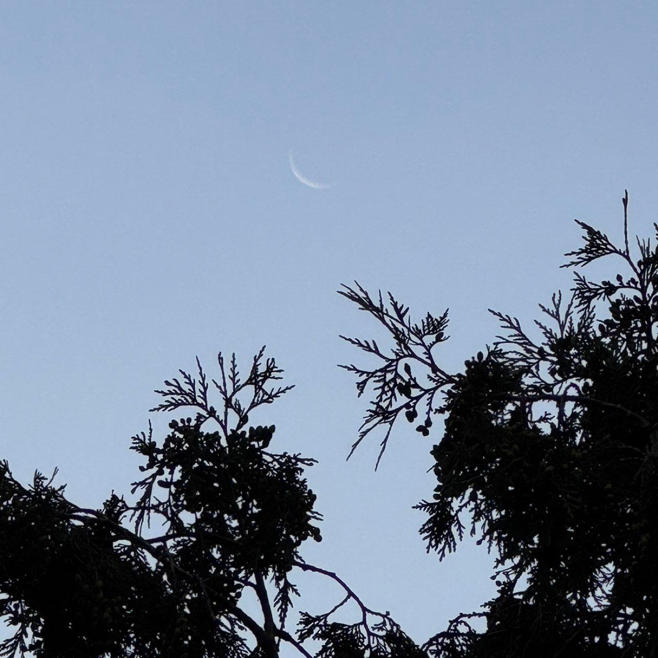 The Moon over Pittsford, United States — waning crescent, Lunar Day 27