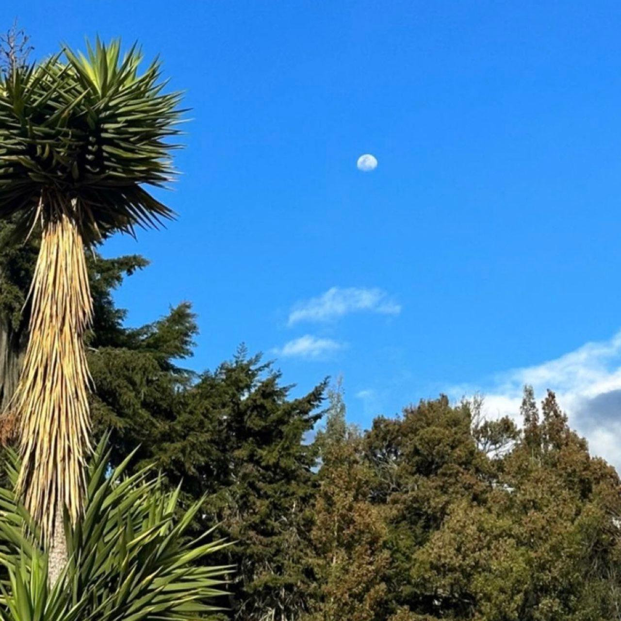 The Moon over Toulouse, Francia — waxing gibbous, Lunar Day 11