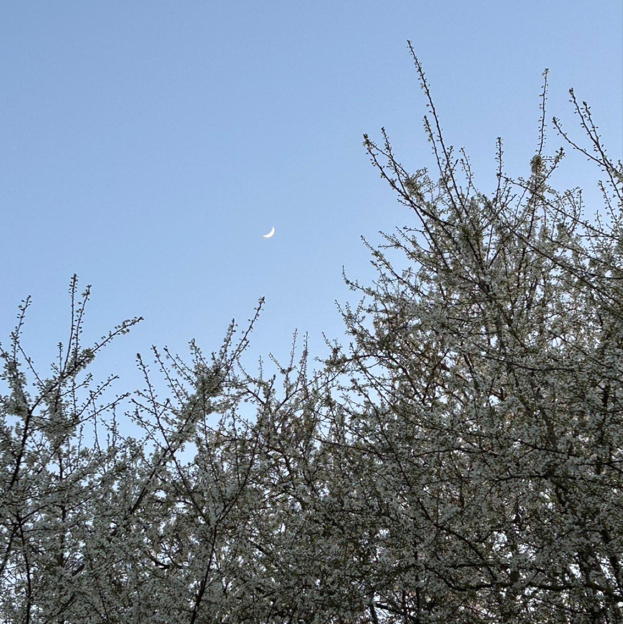 The Moon over Lunow-Stolzenhagen, Germany — waxing crescent, Lunar Day 5