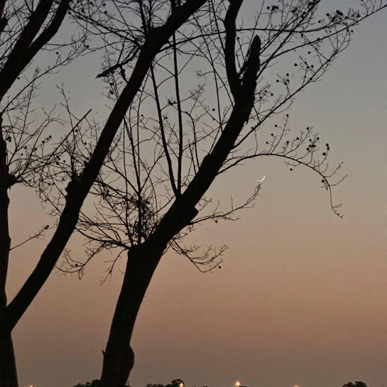 The Moon over Farmers Branch, Estados Unidos — waxing crescent, Lunar Day 4