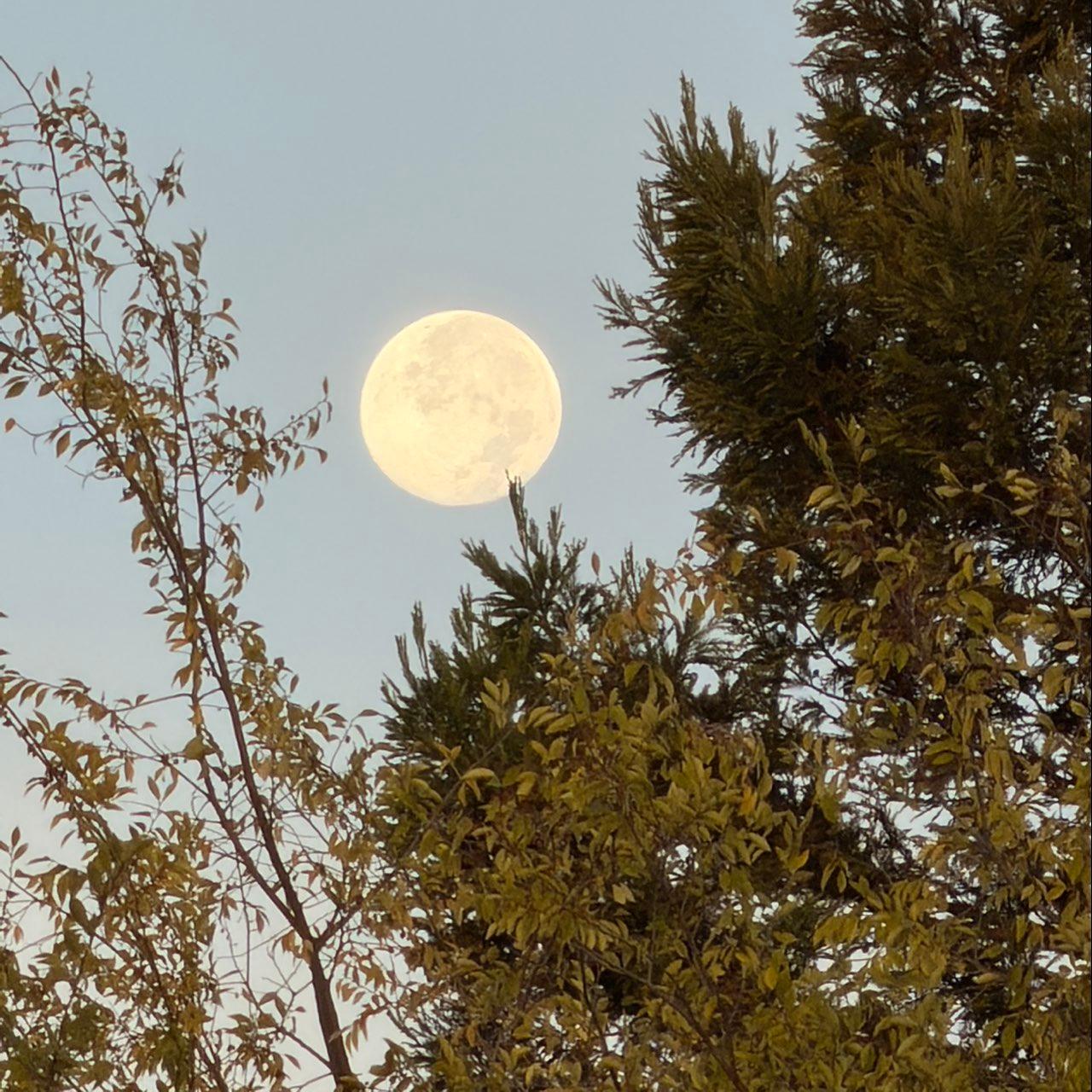 The Moon over Lodi, United States — full moon, Lunar Day 17