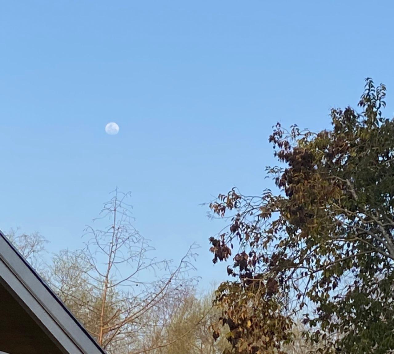 The Moon over Tigre, Argentina — waxing gibbous, Lunar Day 14