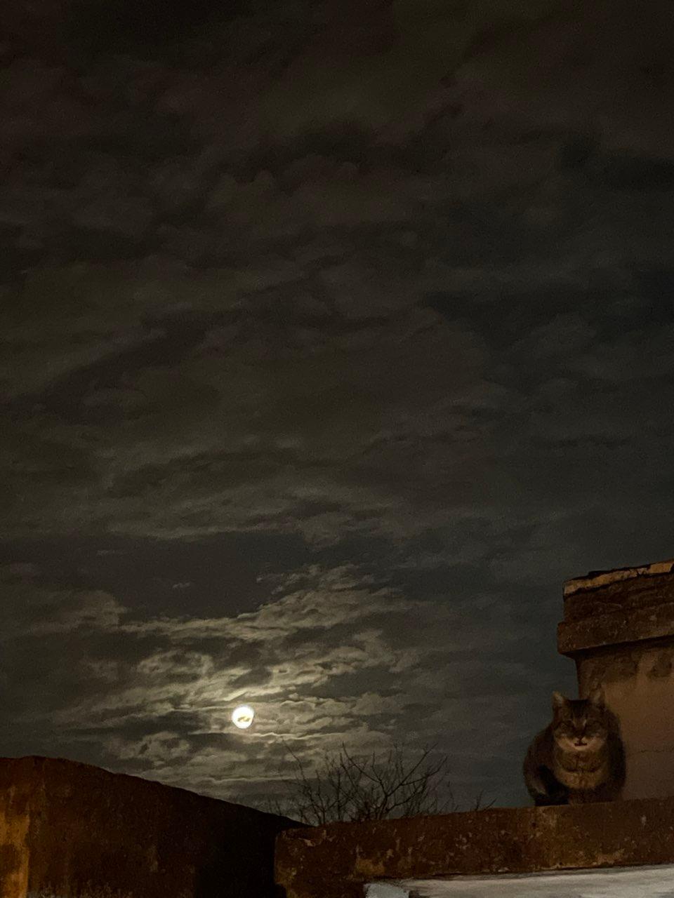 The Moon over Florencio Varela, Argentina — full moon, Lunar Day 16