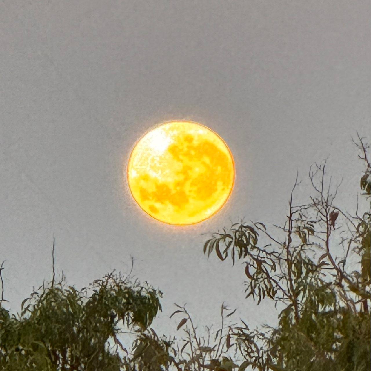 The Moon over Shortland, Australia — full moon, Lunar Day 16