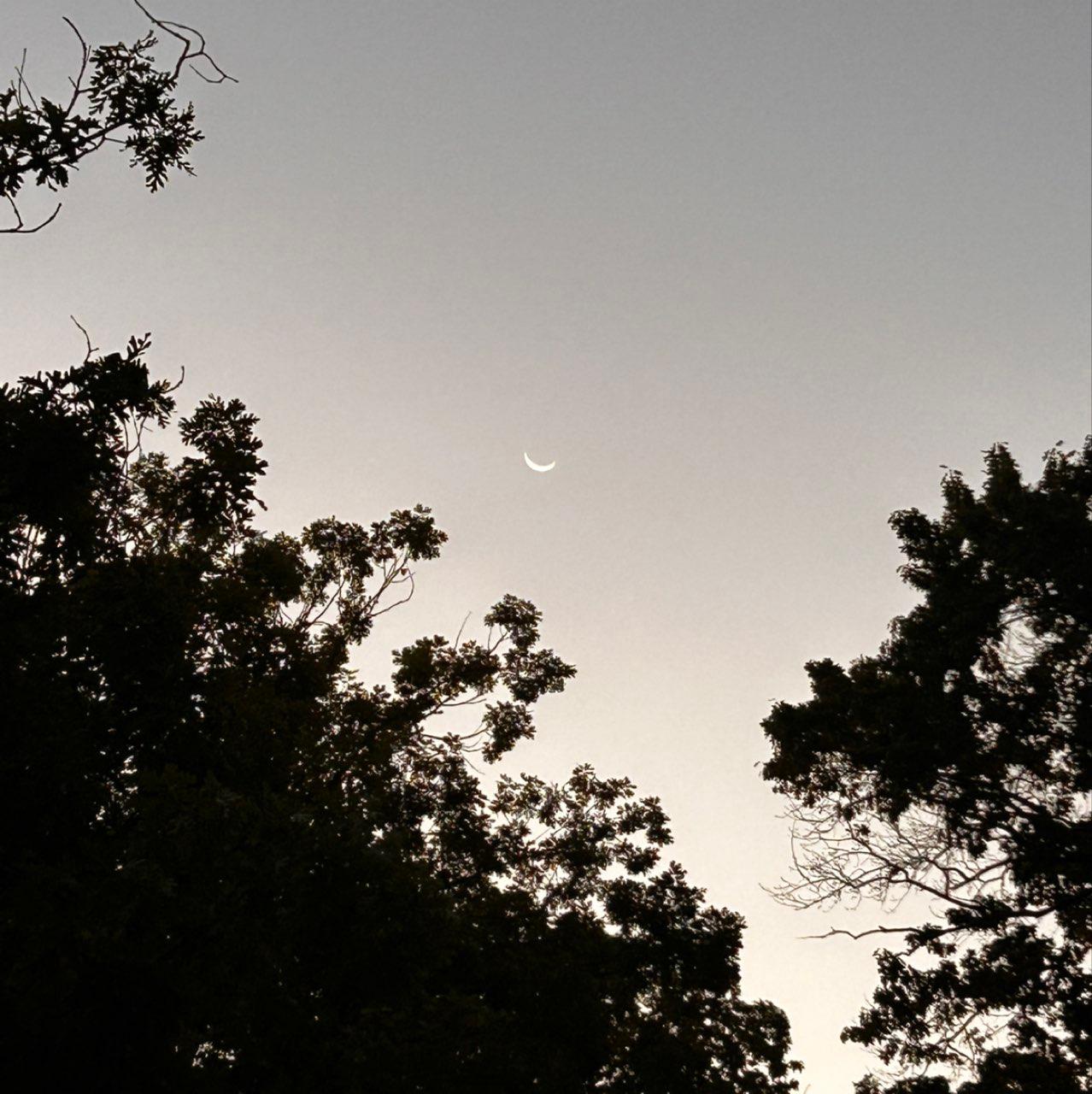 The Moon over Blackwood, United States — waning crescent, Lunar Day 27