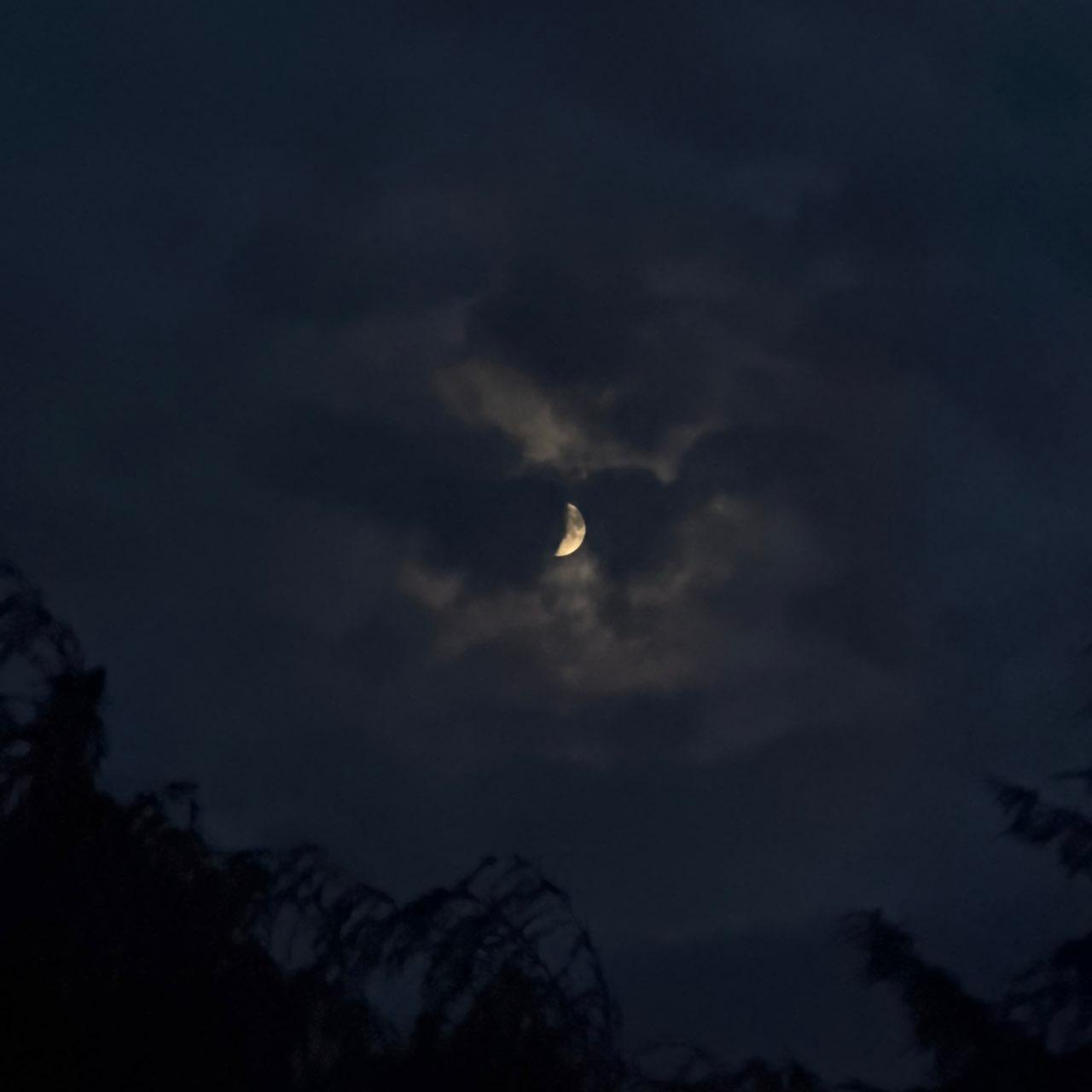 The Moon over Lodi, United States — first quarter, Lunar Day 7