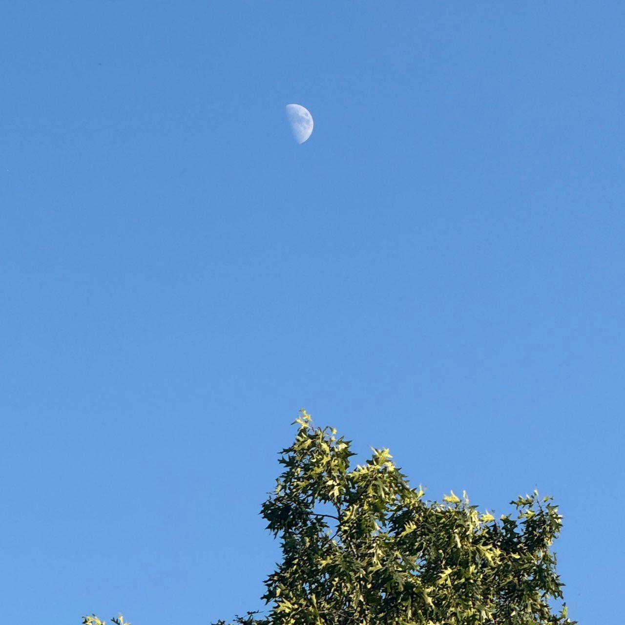 The Moon over Wetzlar, Deutschland — first quarter, Lunar Day 9