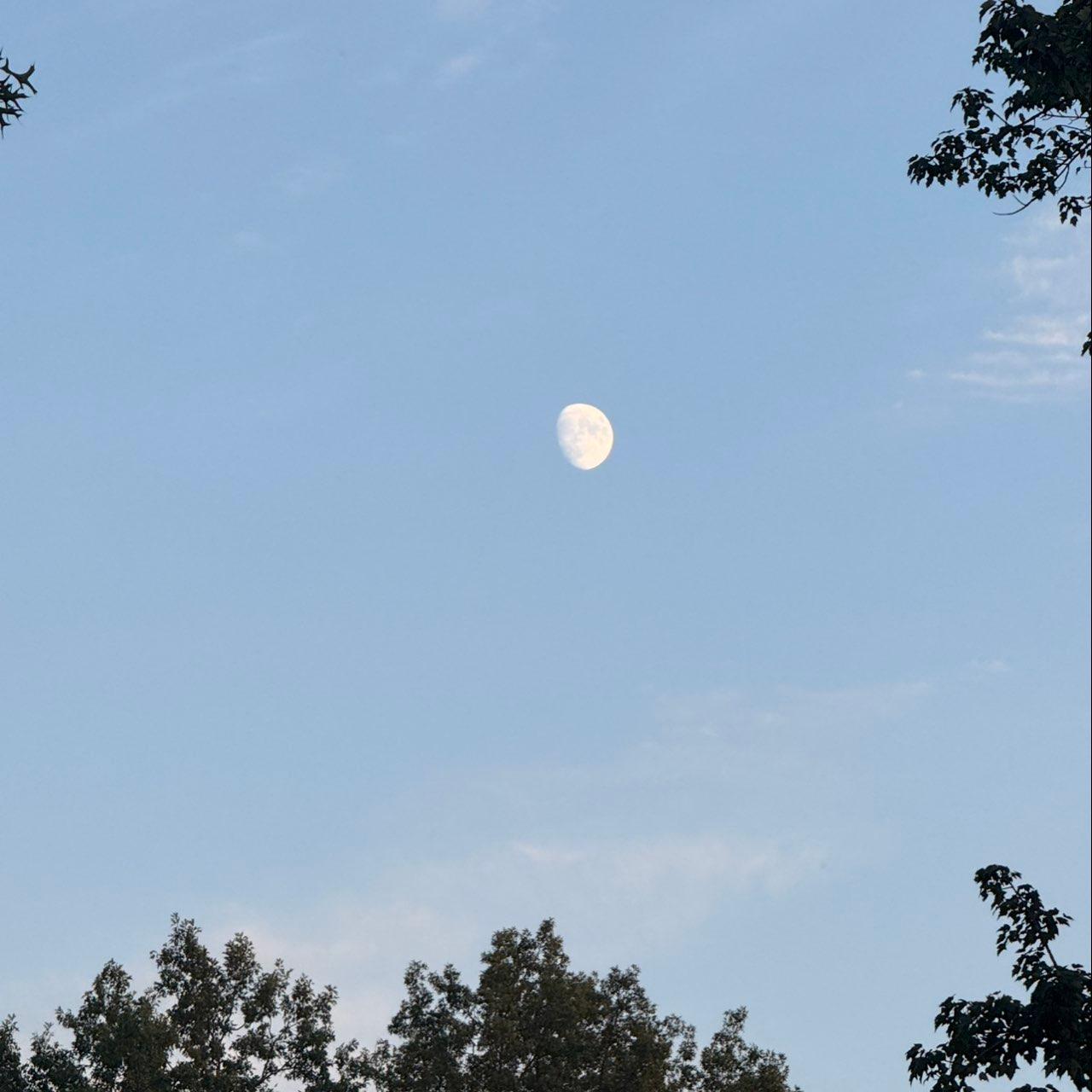 The Moon over Linton, United States — waxing gibbous, Lunar Day 12